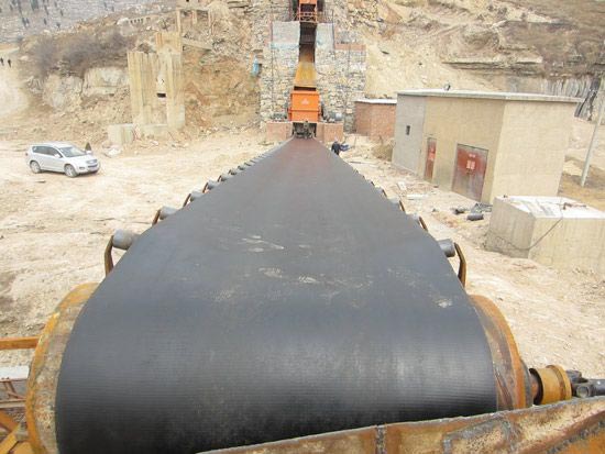 ����鿴��ϸ��Ϣ���⣺Ƥ�����ͻ� �Ķ�������2556